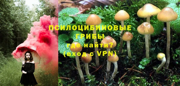 a pvp Богородицк